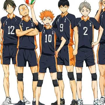 Karasuno High Volleyball team