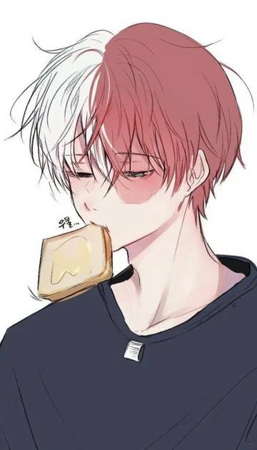 Shoto Todoroki