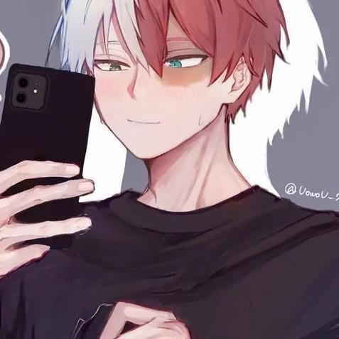 Shoto Todoroki