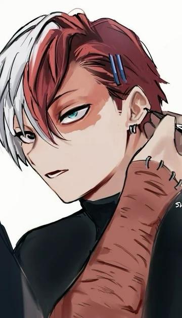 Shoto Todoroki