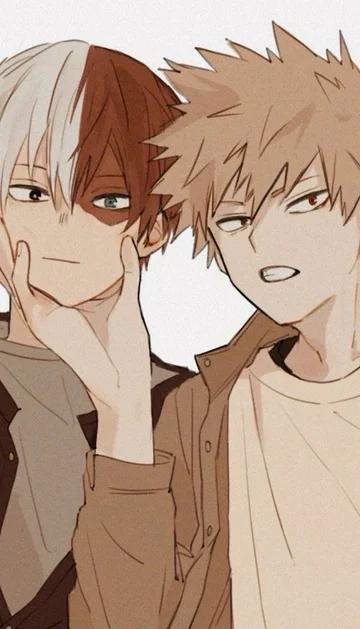 bakugo and todoroki