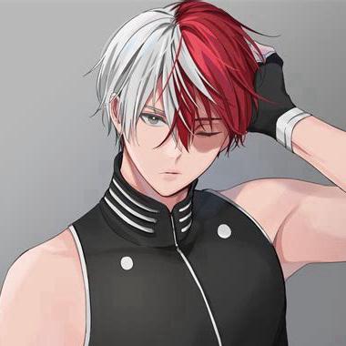 Shoto Todoroki