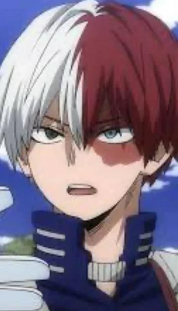 Shoto Todoroki 