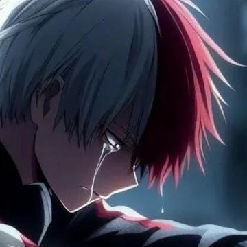 Shoto todoroki