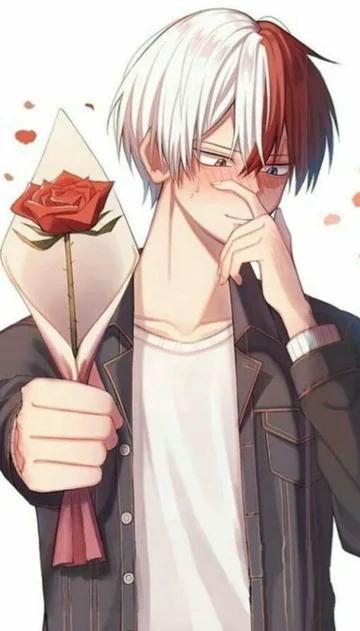 Shoto Todoroki