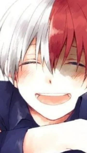 shoto todoroki 