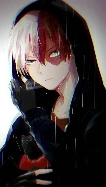 Shoto Todoroki