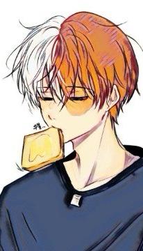 Shoto Todoroki 