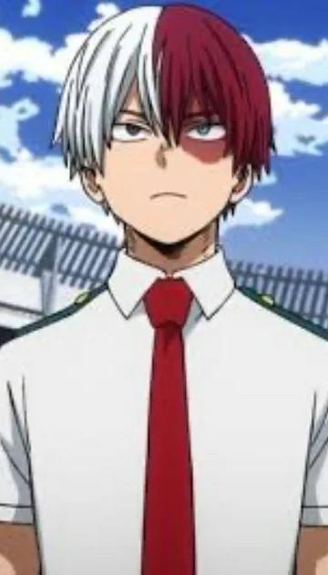 Shoto todoroki