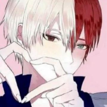 Shoto Todoroki