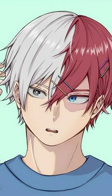 Shoto Todoroki