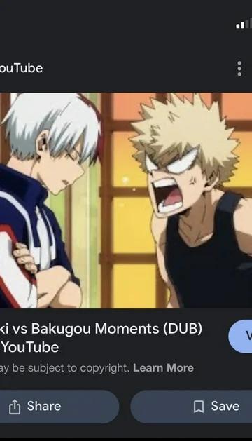 bakugo/Todoroki 