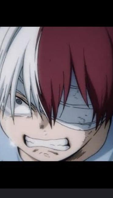 Shoto Todoroki