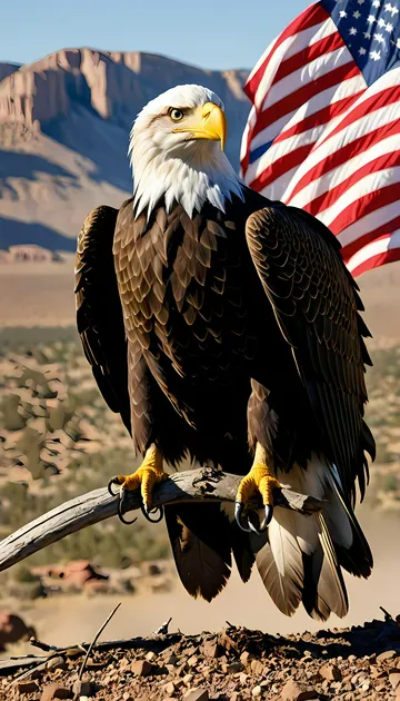 cover of RAHHH AMERICA 🦅🦅🦅🦅🦅🇺🇲🇺🇲🇺🇲🇺🇲🇺🇲🇺🇲