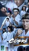 Cobra Kai (Miyagi Do)