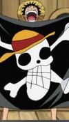 the straw hat pirates 