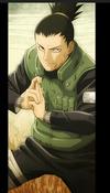 Shikamaru from the hidden leaf