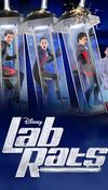 Lab Rats