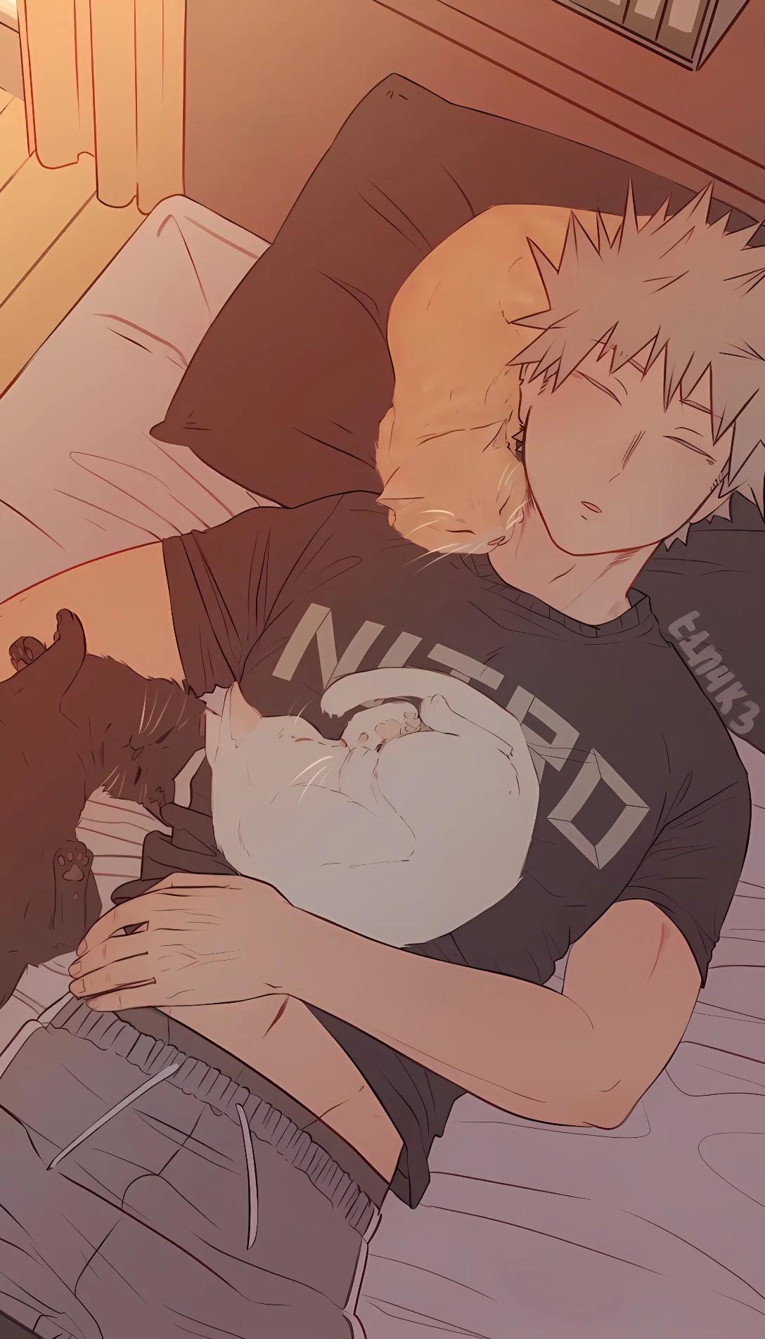 Museland-Your Husband Bakugo.. and 3 cats?! -Romance-bakugo-MHA-Cats-katsuki-BNHA