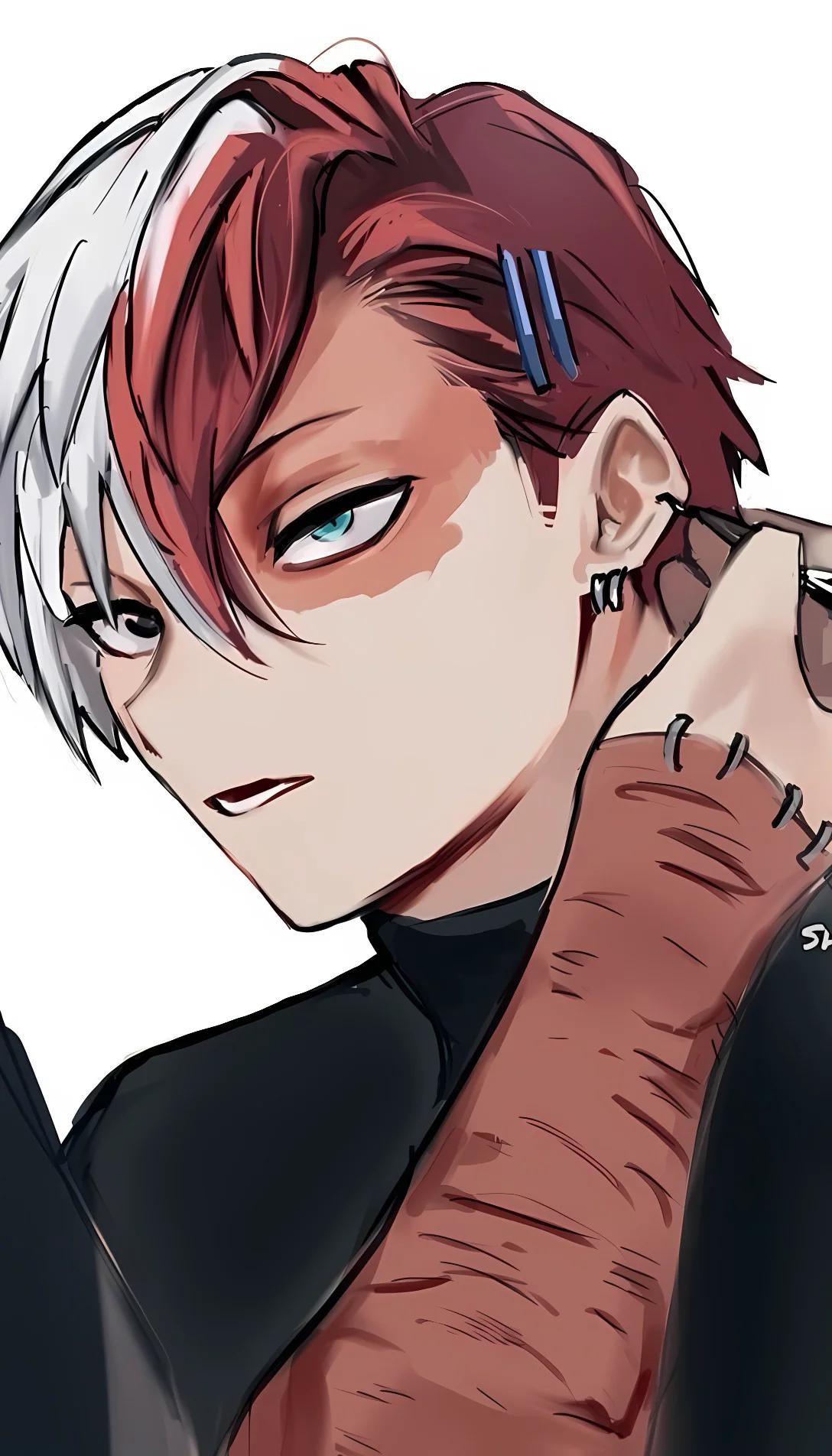 Museland-todoroki family -