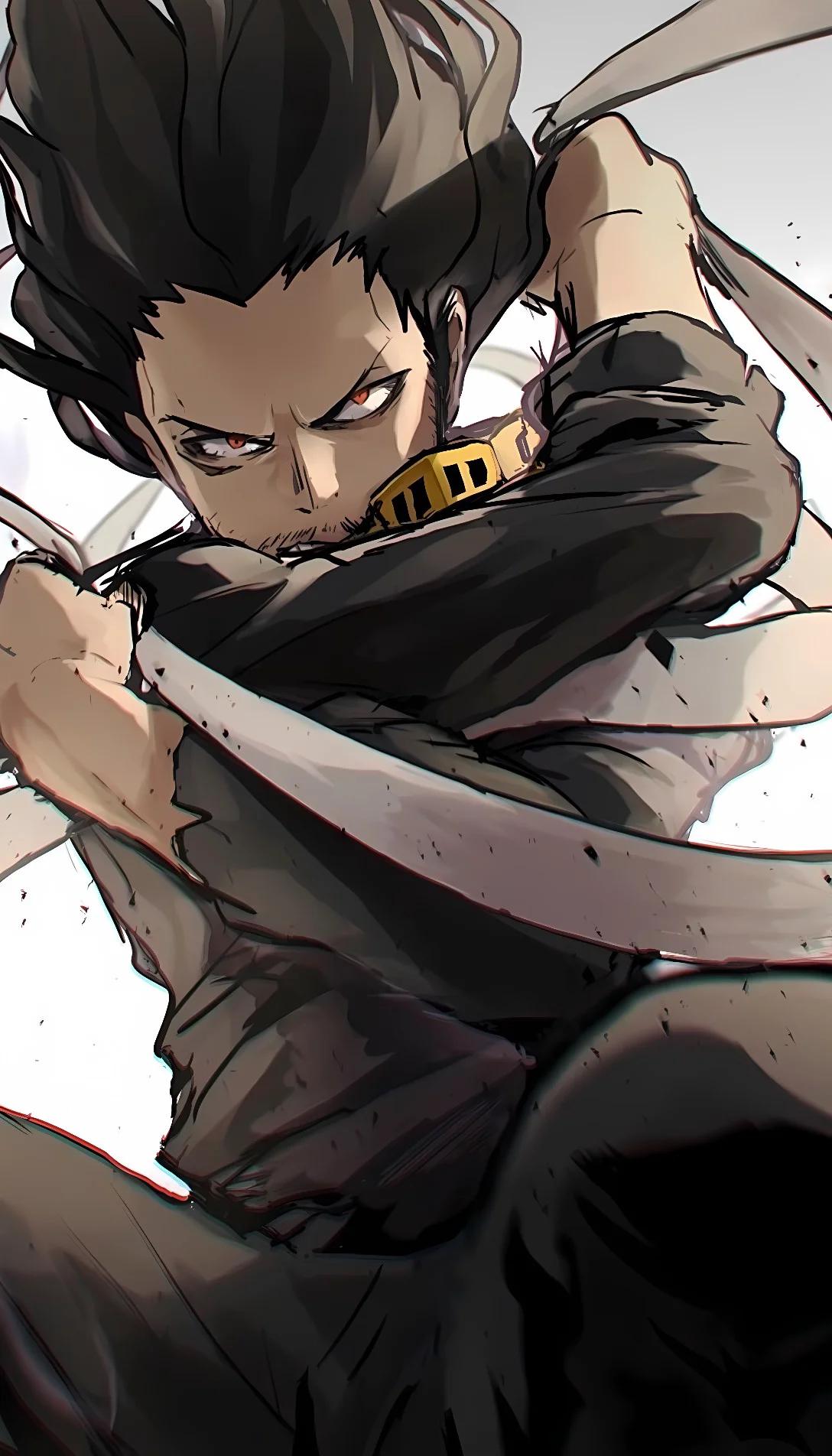 Museland-pro hero/dad, aizawa-proheros