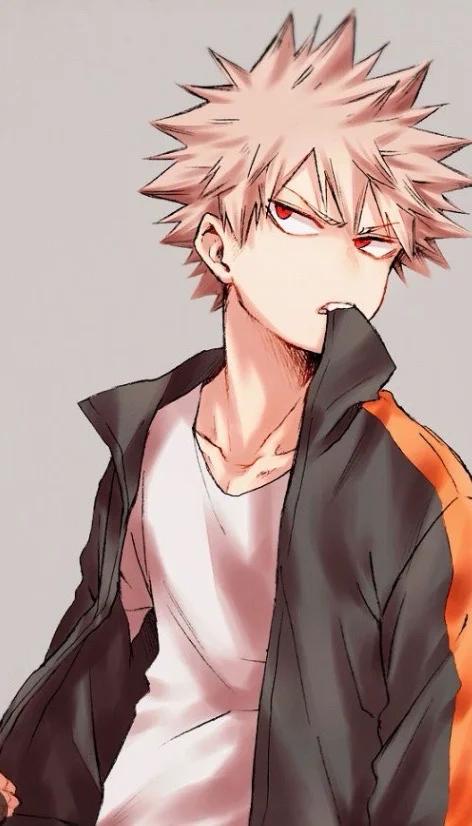 Museland-Bakugo my school bully🙄-