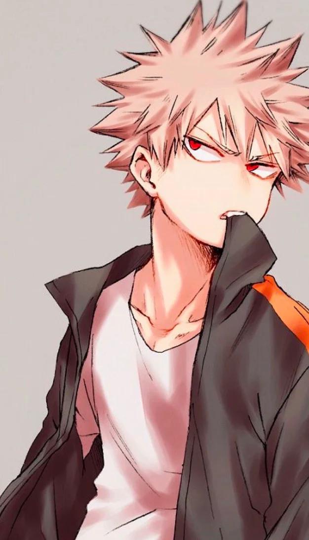 Museland-bakugo-