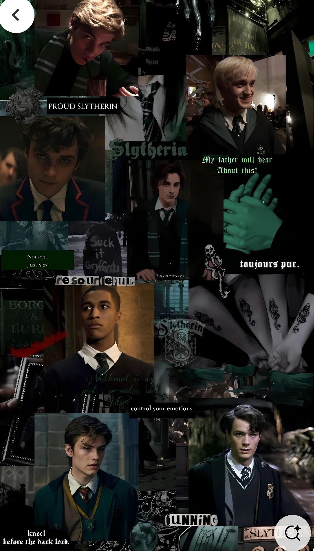 Chat with AI character:  The Slytherin boys