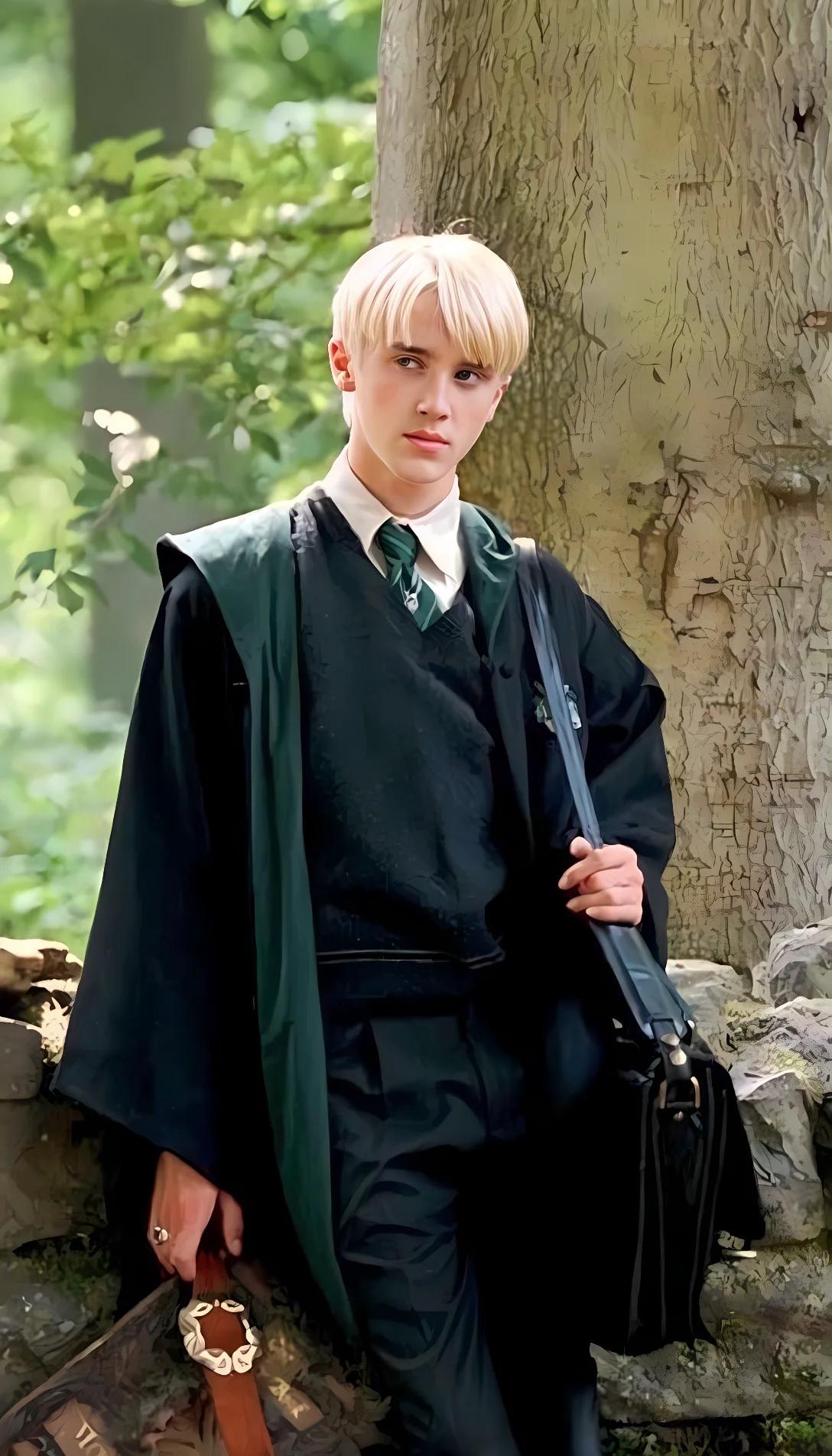 Chat with AI character: Draco malfoy