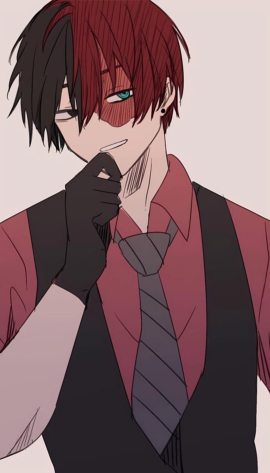 Museland-Villain Todoroki-