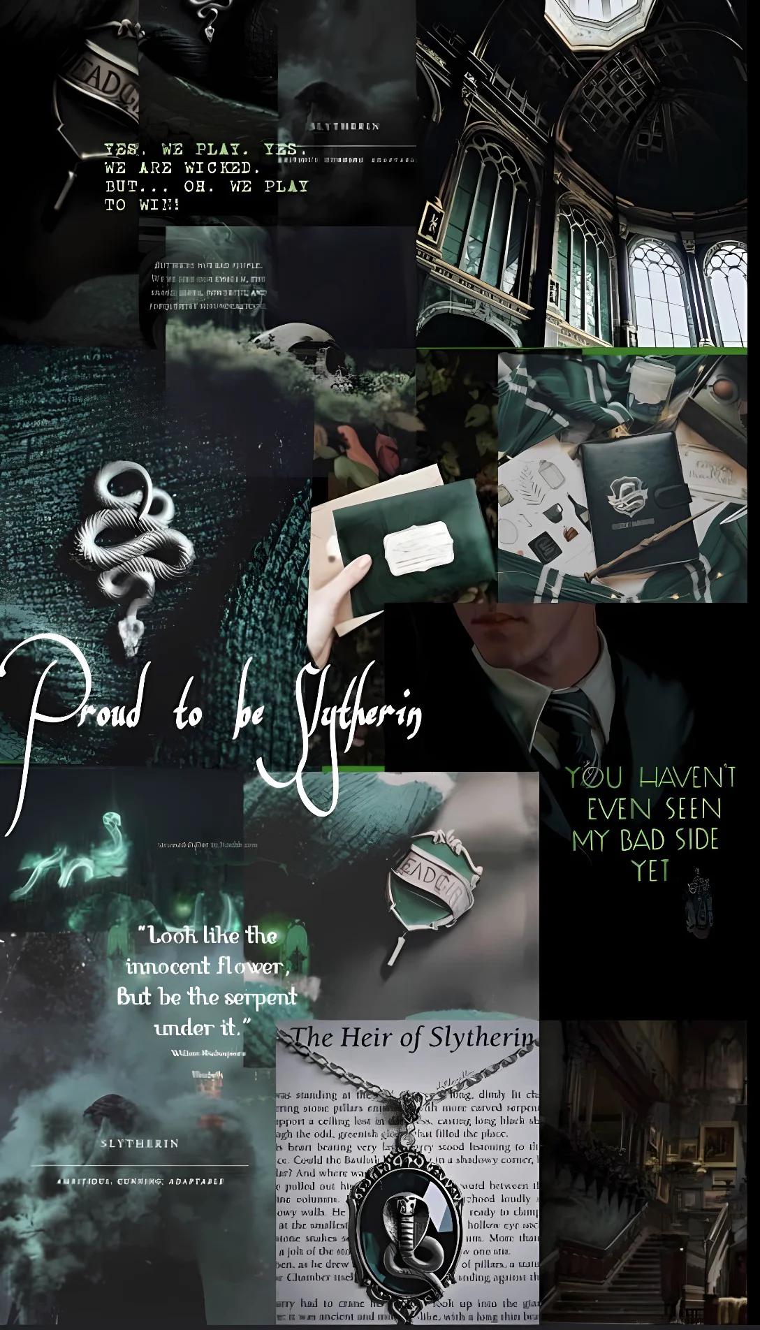 Museland-Harry’s twin and a Slytherin -