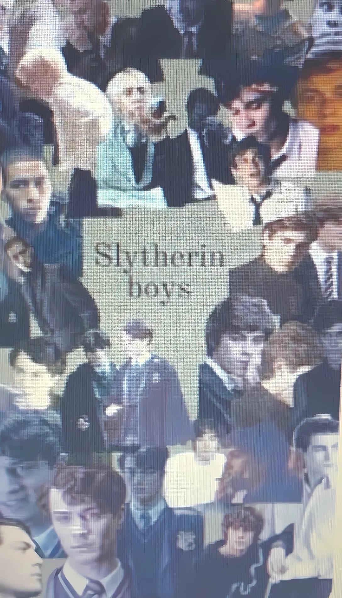 Museland-on the train with the Slytherin boys -